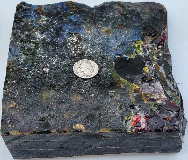 Newest Item Image